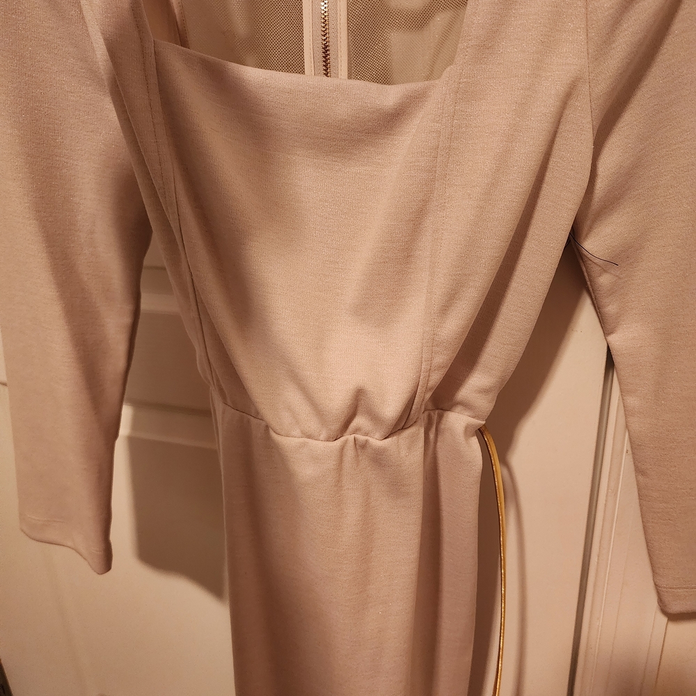 Alice + Olivia Beige Long Sleeve Dress